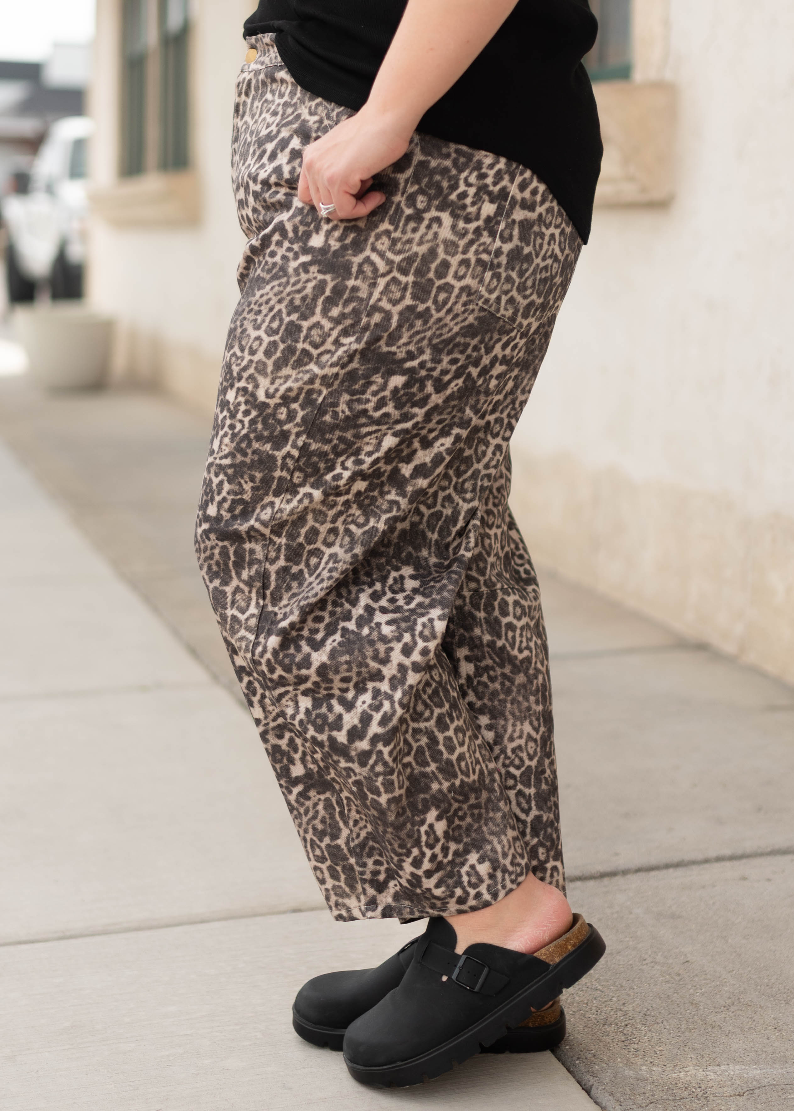 Blakely Leopard Print Pants