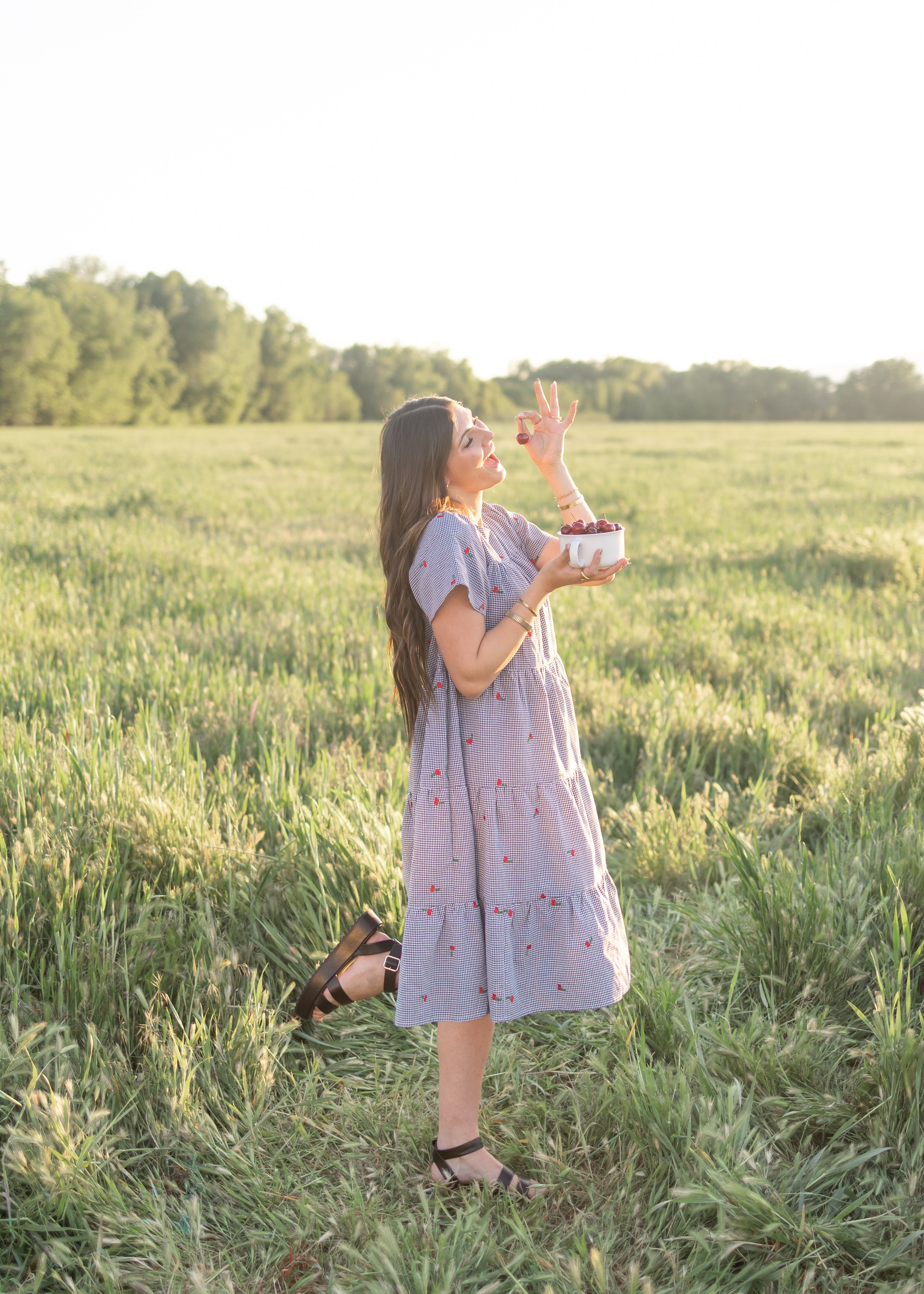 Cherry Black Gingham Dress