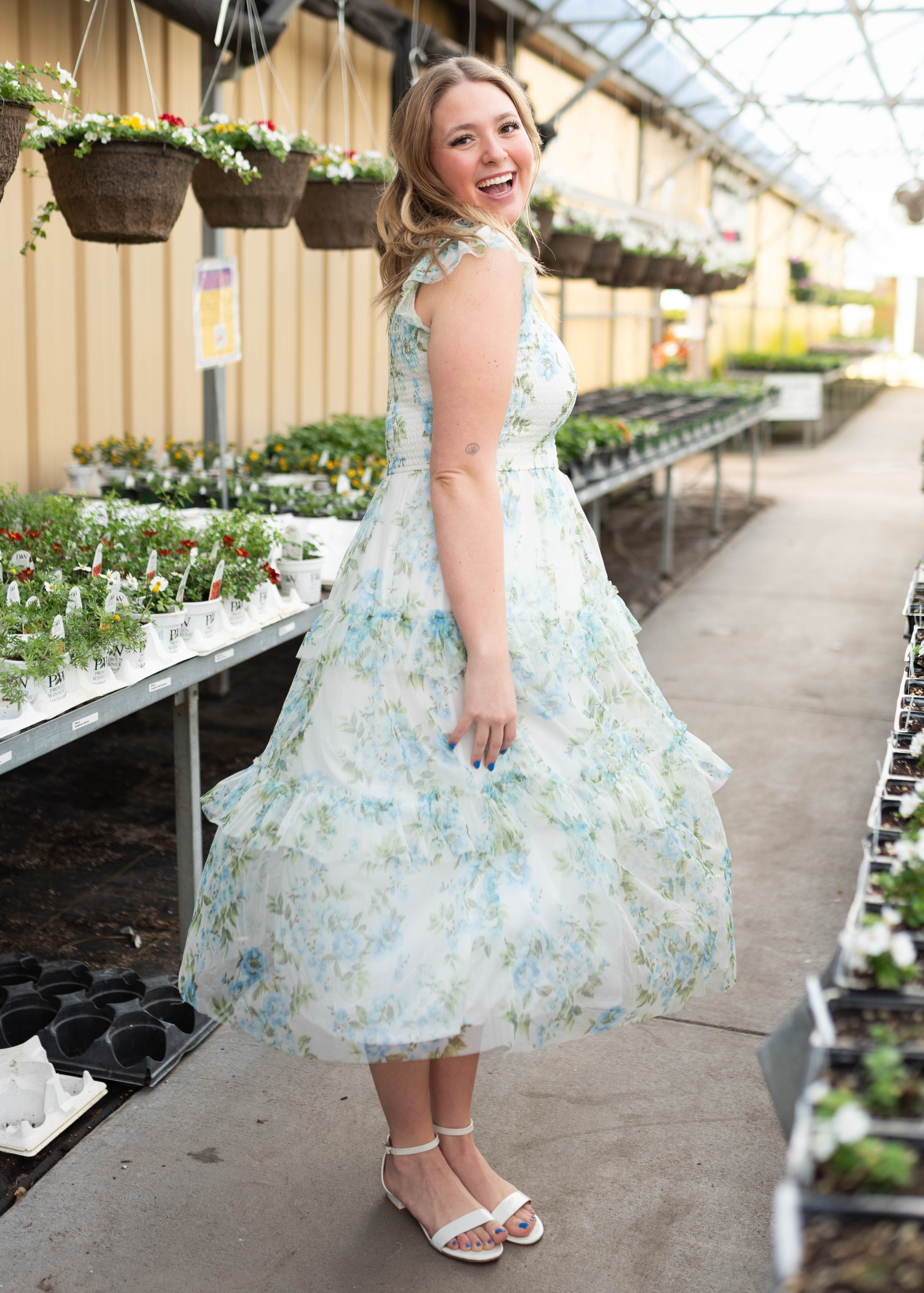 Alexia Cream Blue Floral Mesh Dress