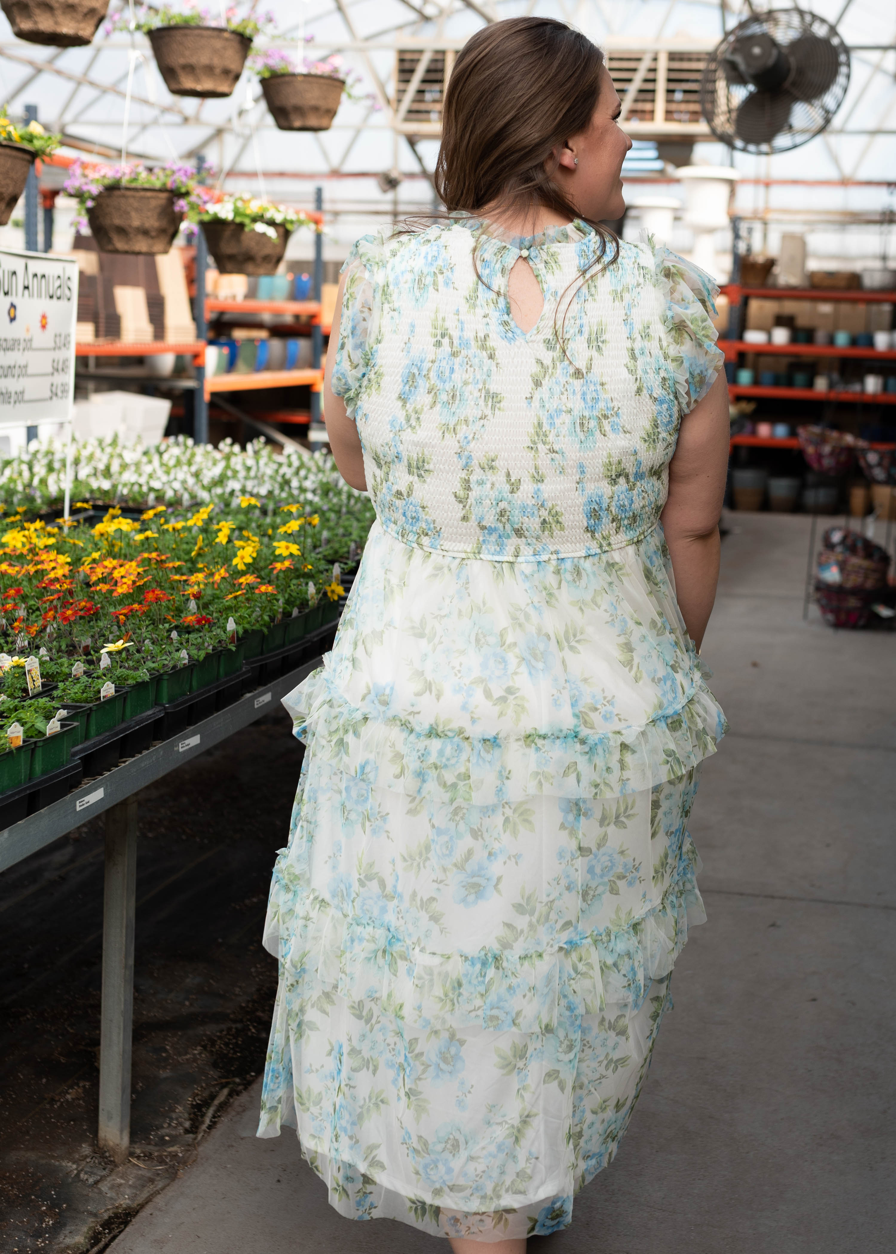 Alexia Cream Blue Floral Mesh Dress