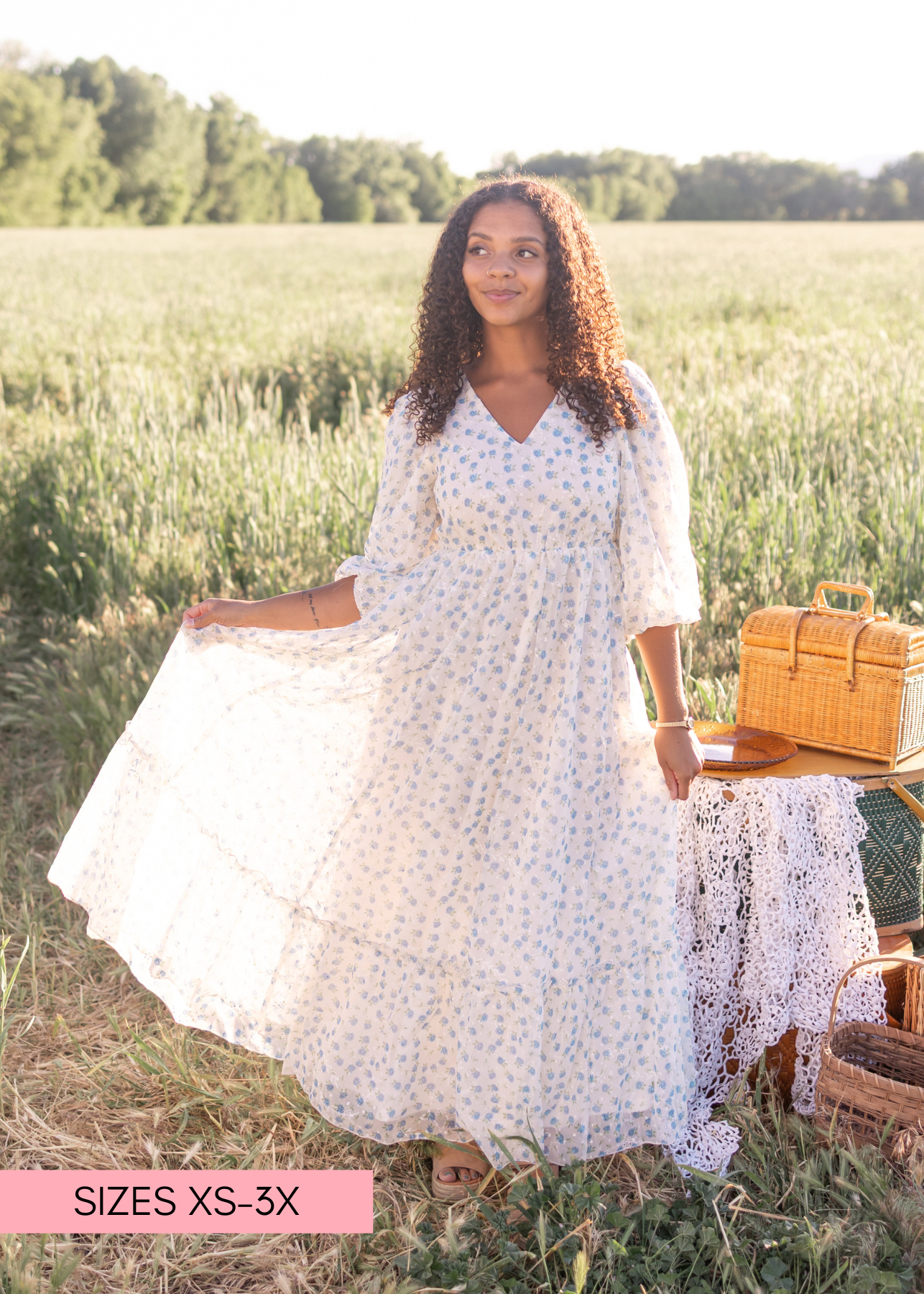 Kaitlyn Ivory Blue Floral Dress