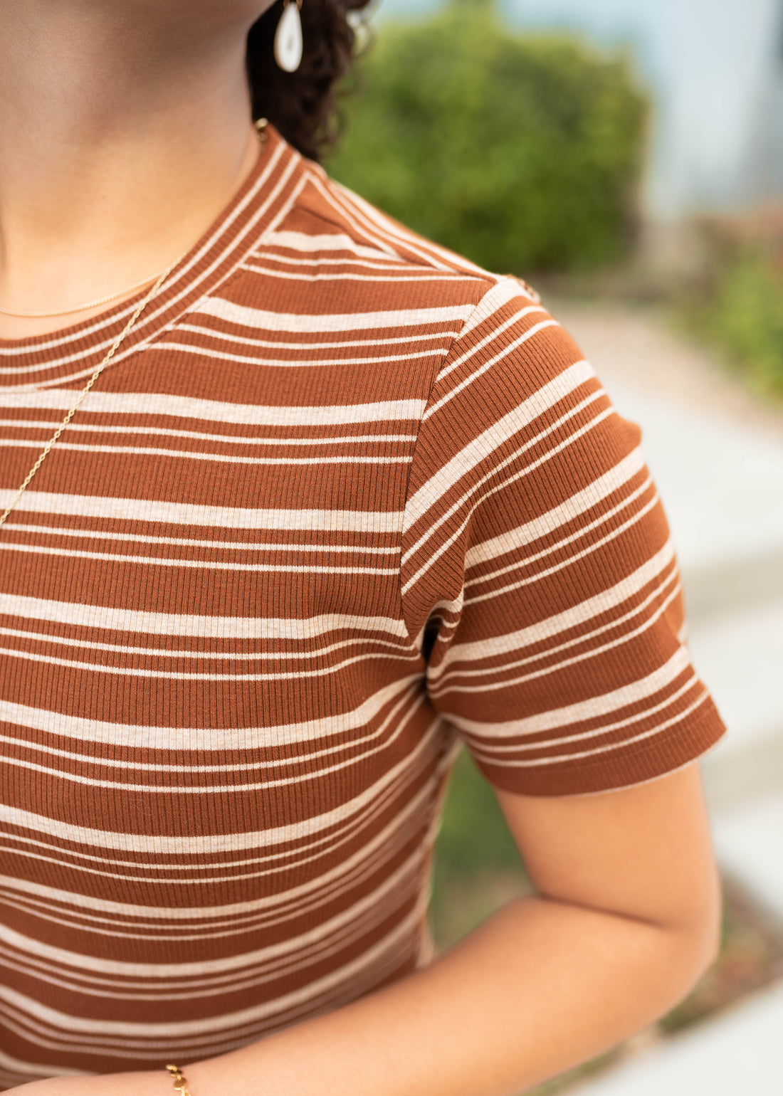 Lynette Brown Striped Dress