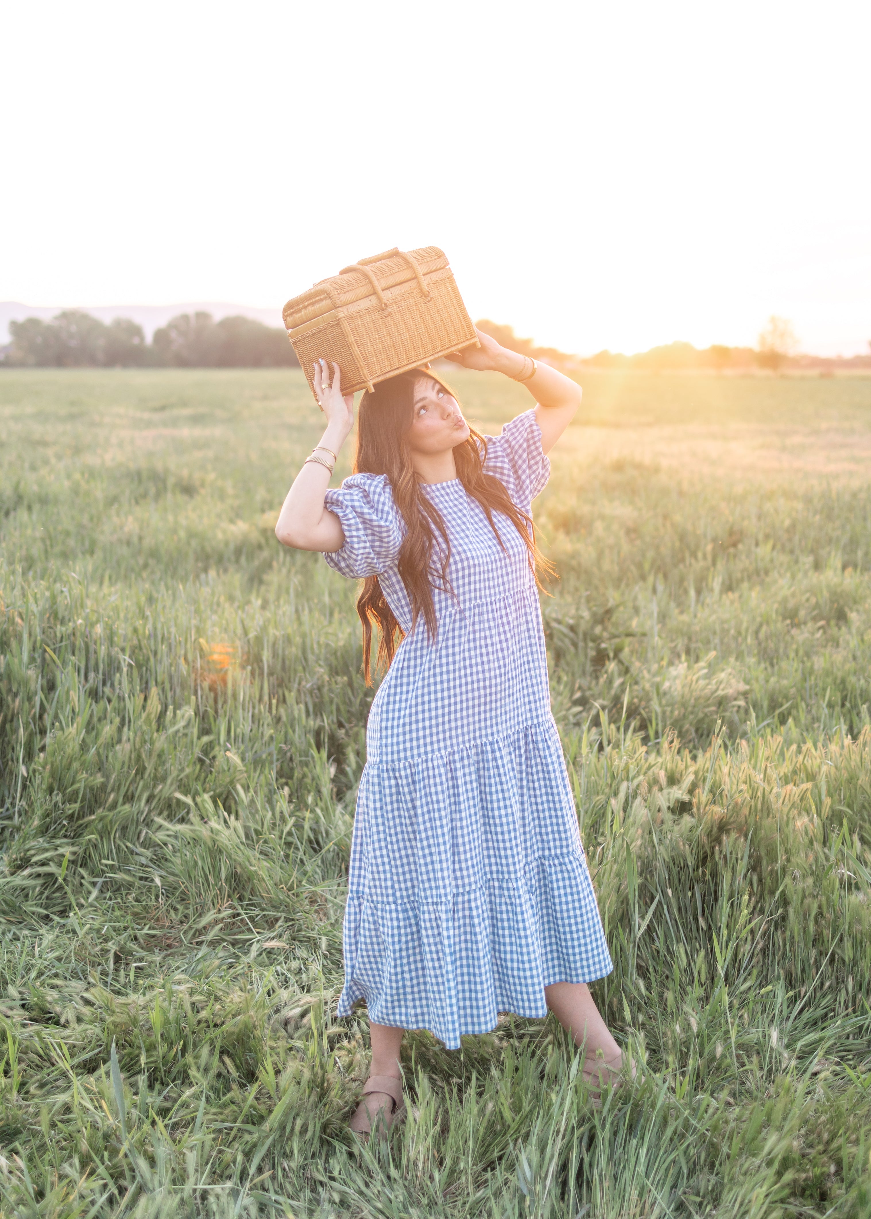 Mariah Blue Gingham Tiered Dress