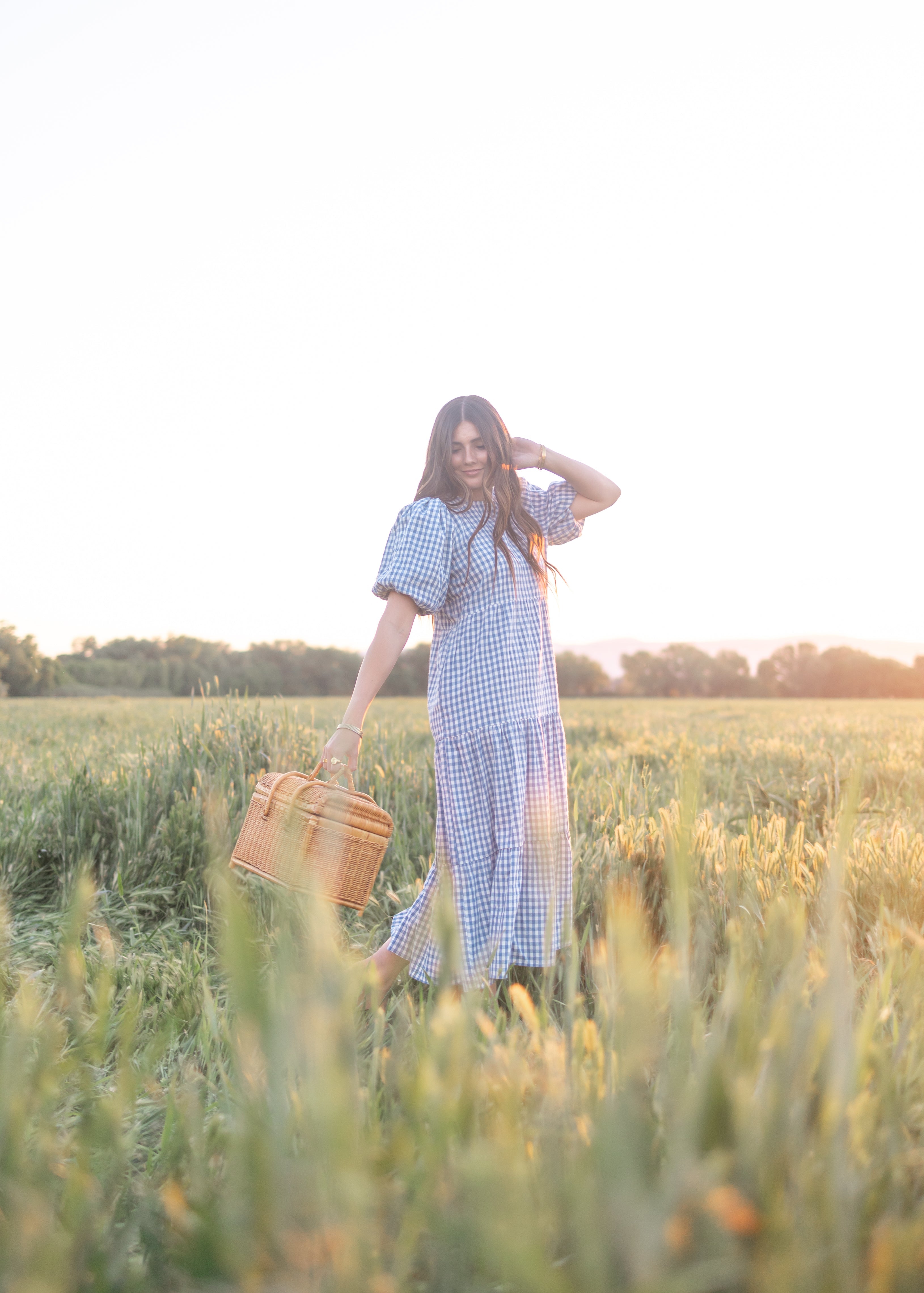 Mariah Blue Gingham Tiered Dress