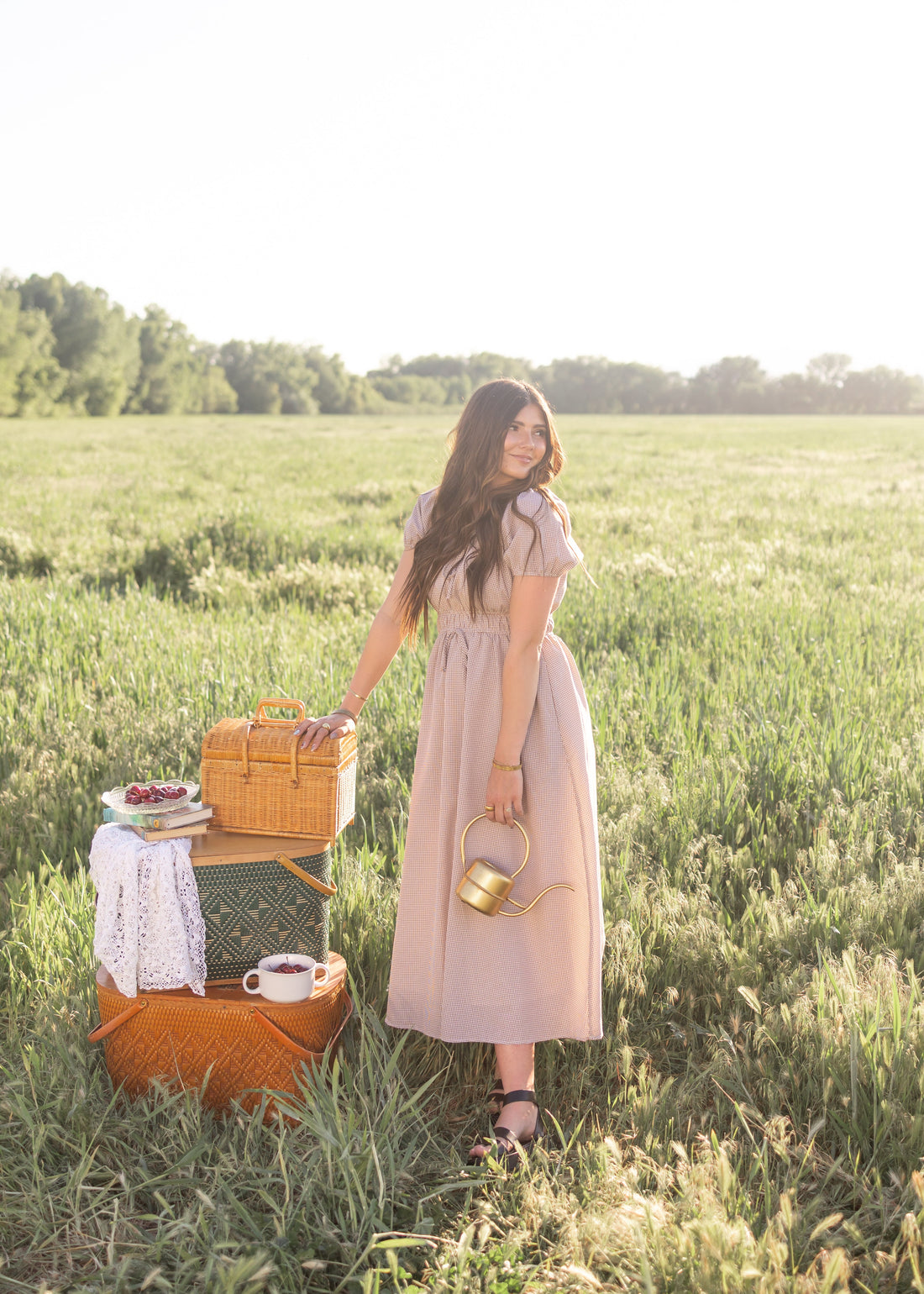 Martha Taupe Gingham Dress