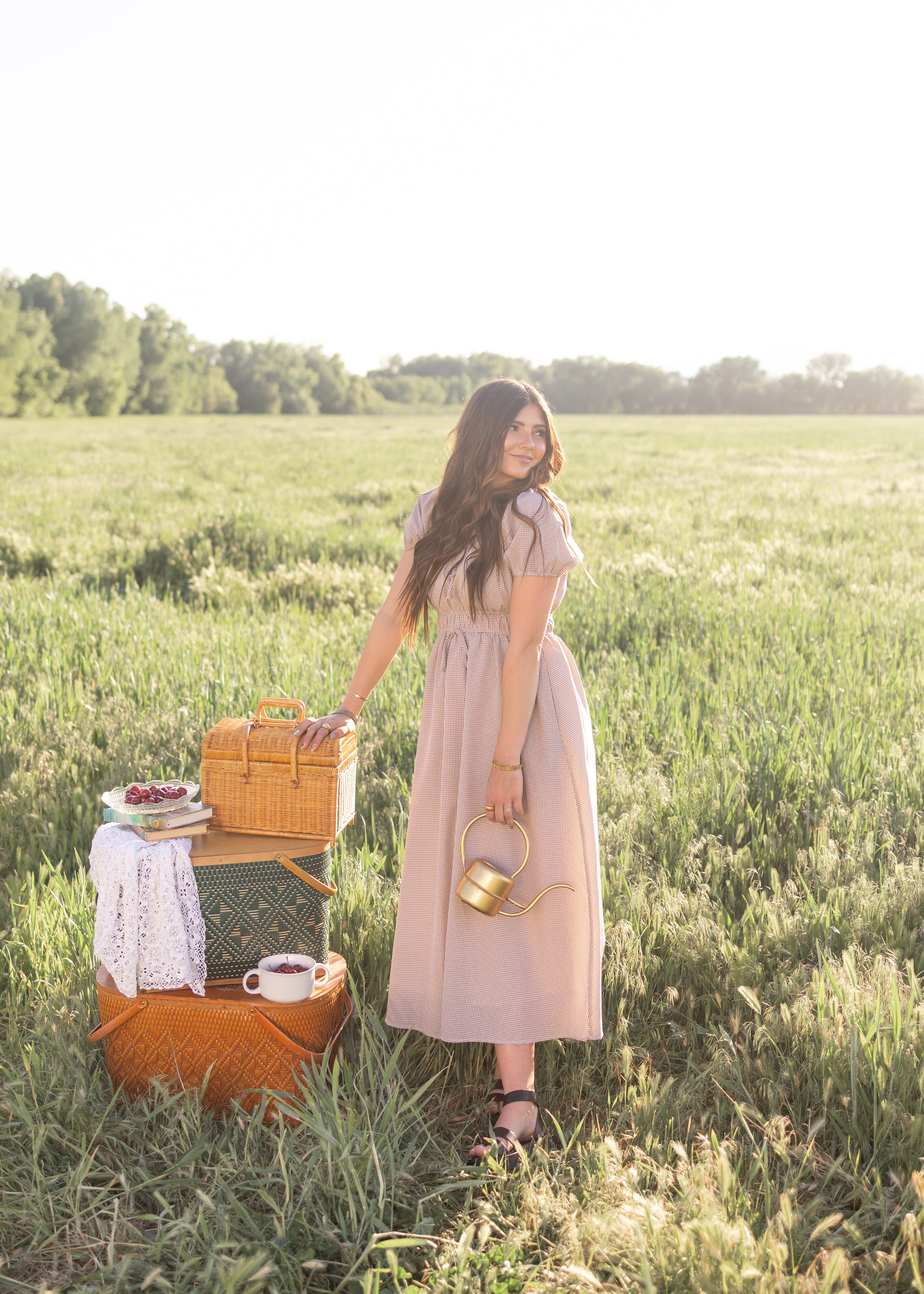 Martha Taupe Gingham Dress