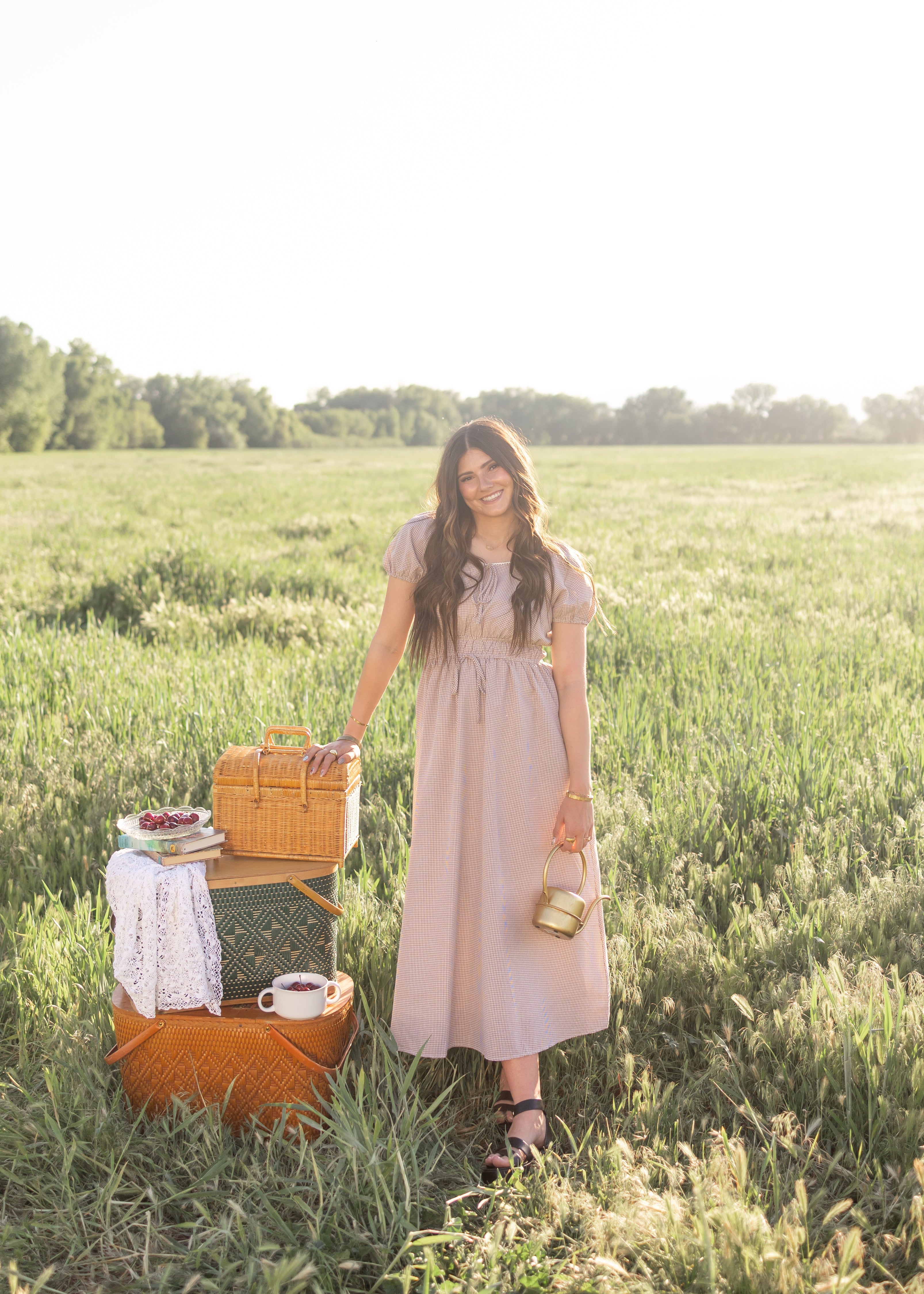 Martha Taupe Gingham Dress