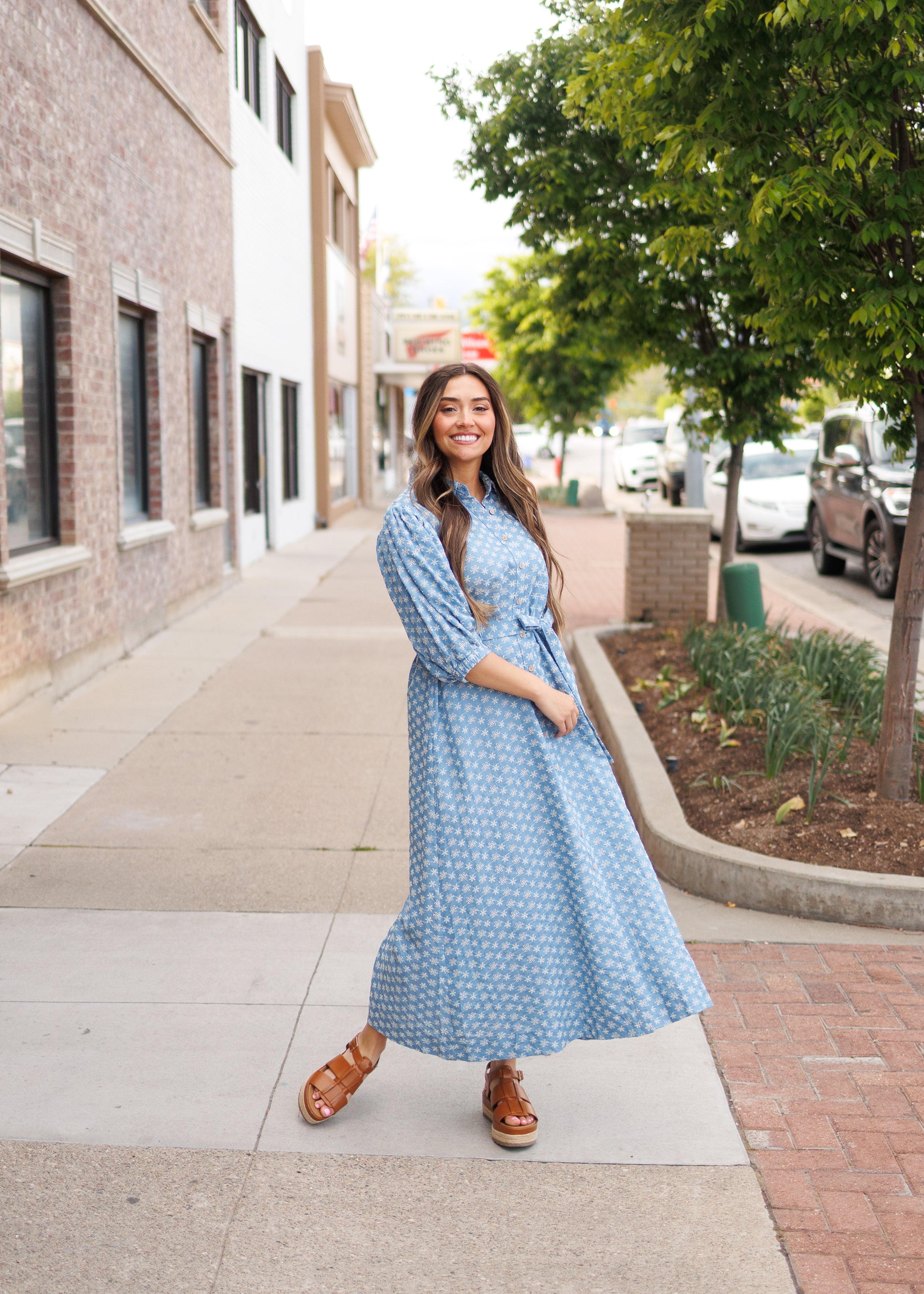 Miriam Embroidered Chambray Dress