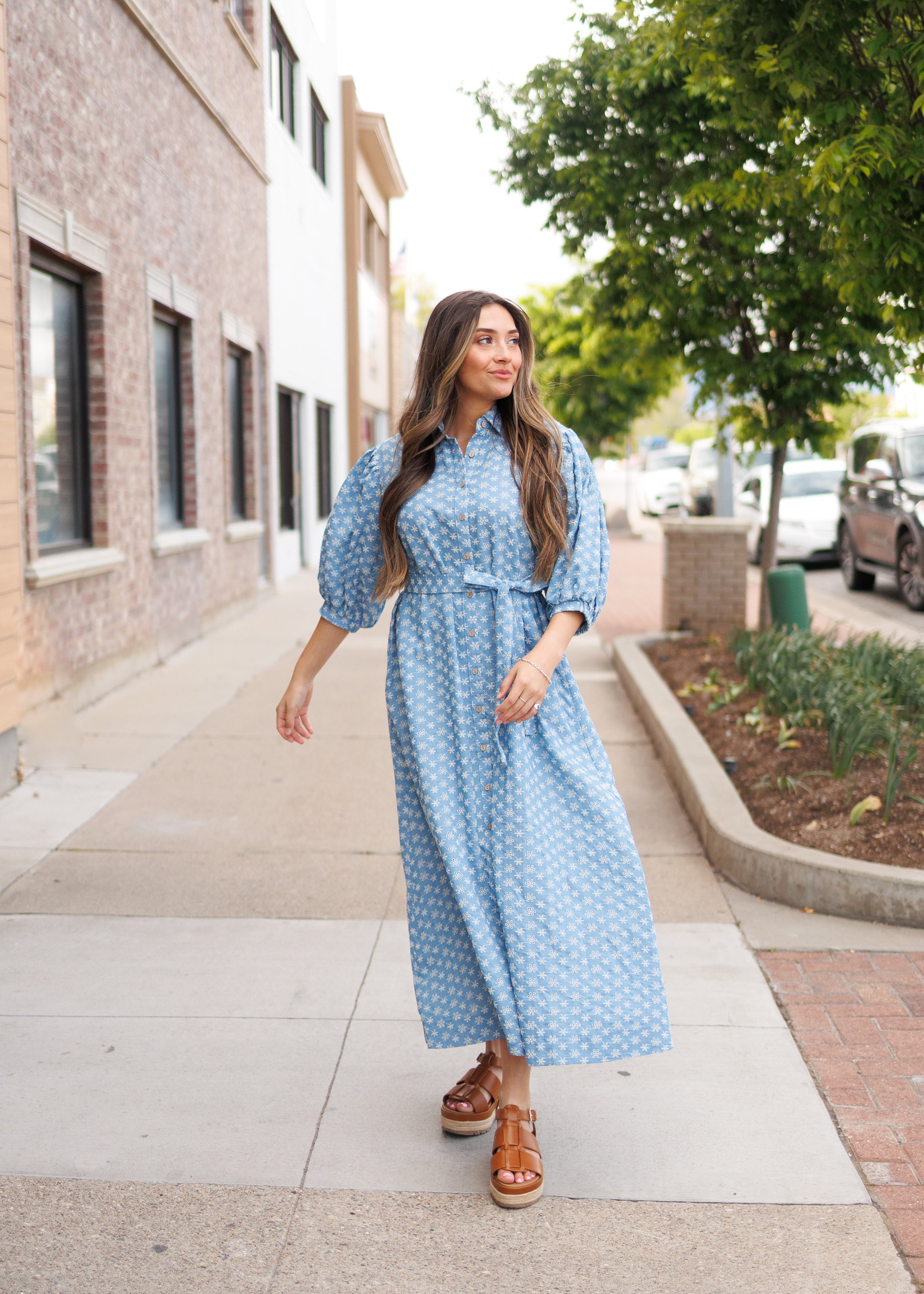 Miriam Embroidered Chambray Dress