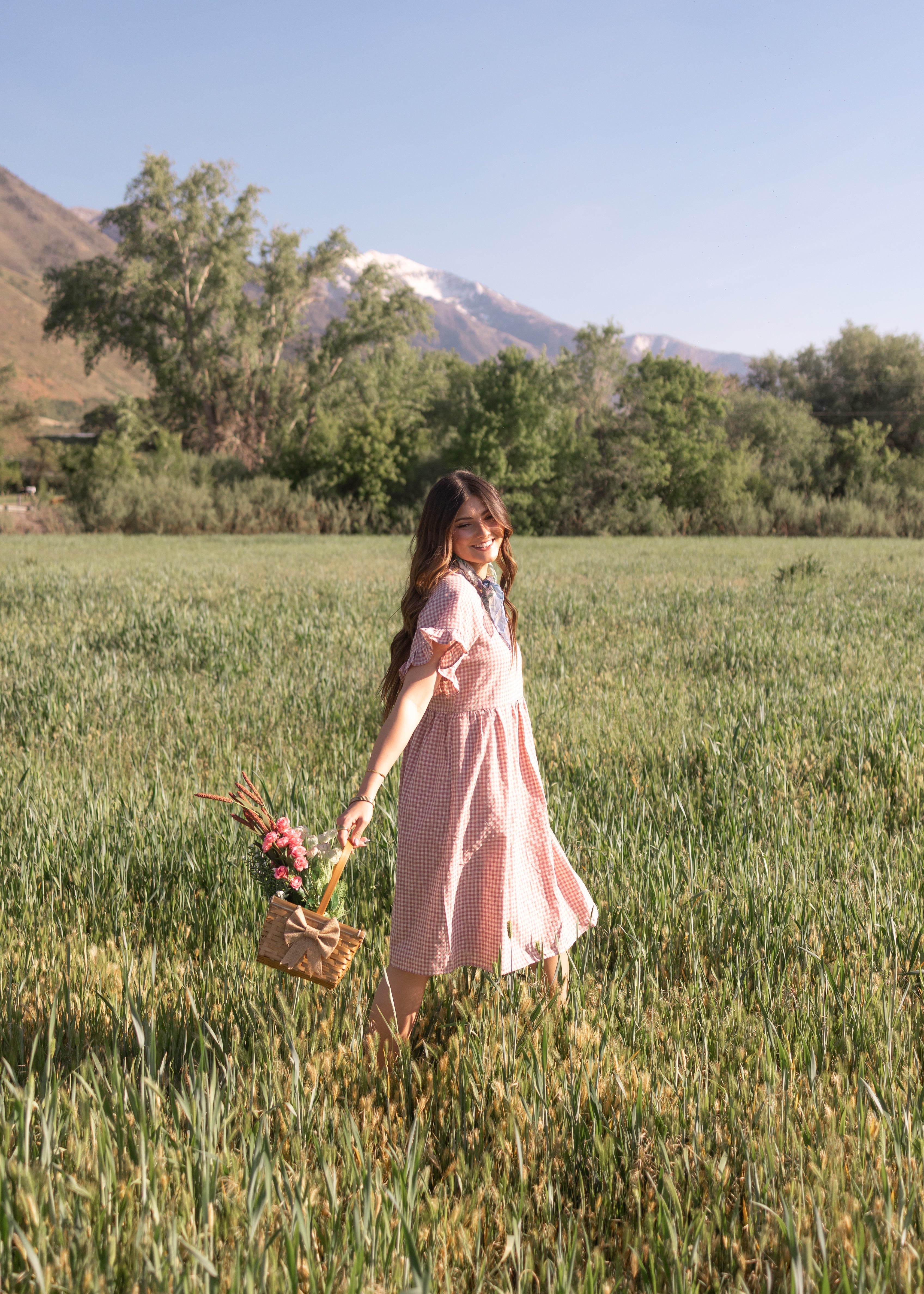 Remy Mauve Gingham Dress