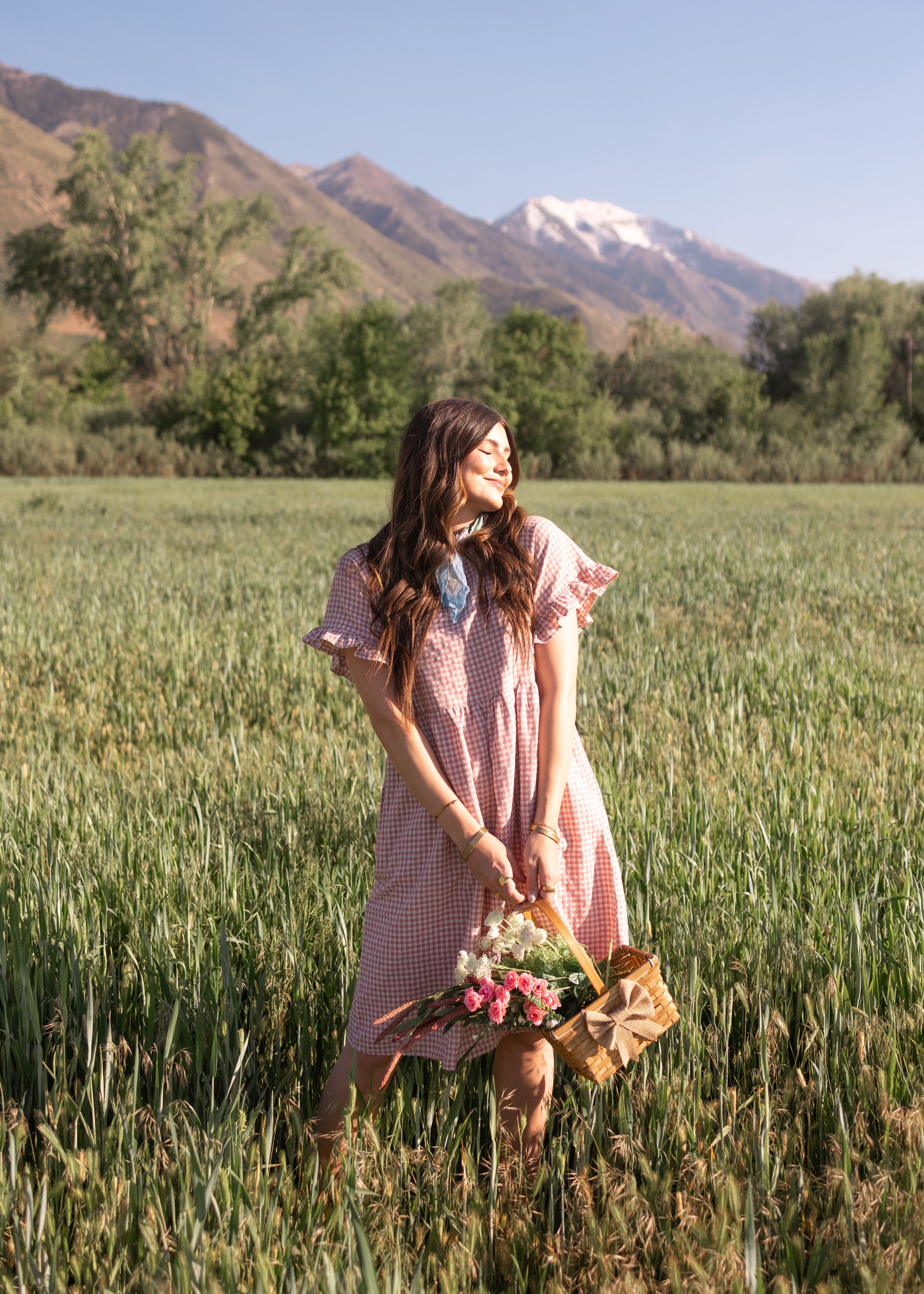 Remy Mauve Gingham Dress