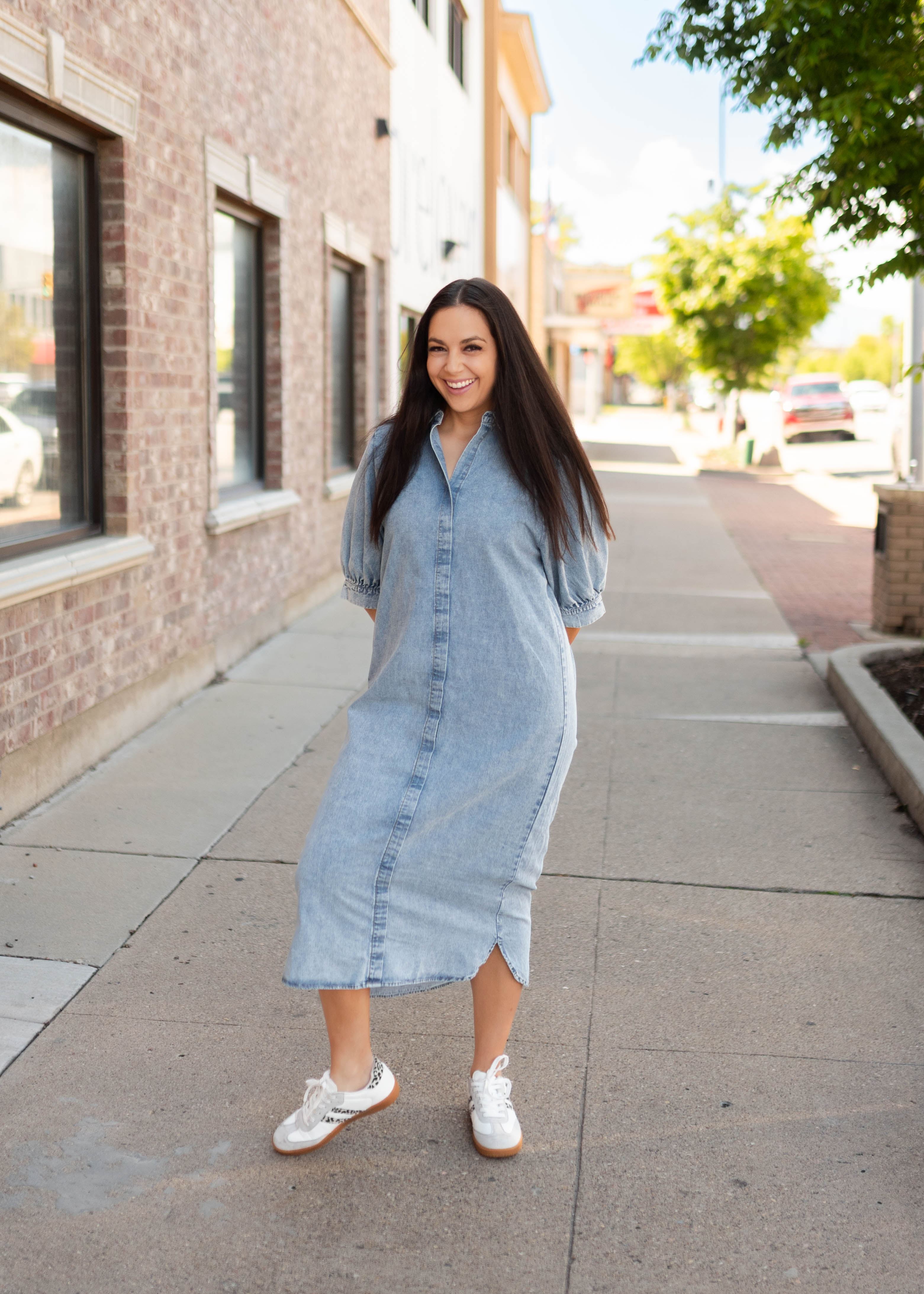 Rory Chambray Collared Dress