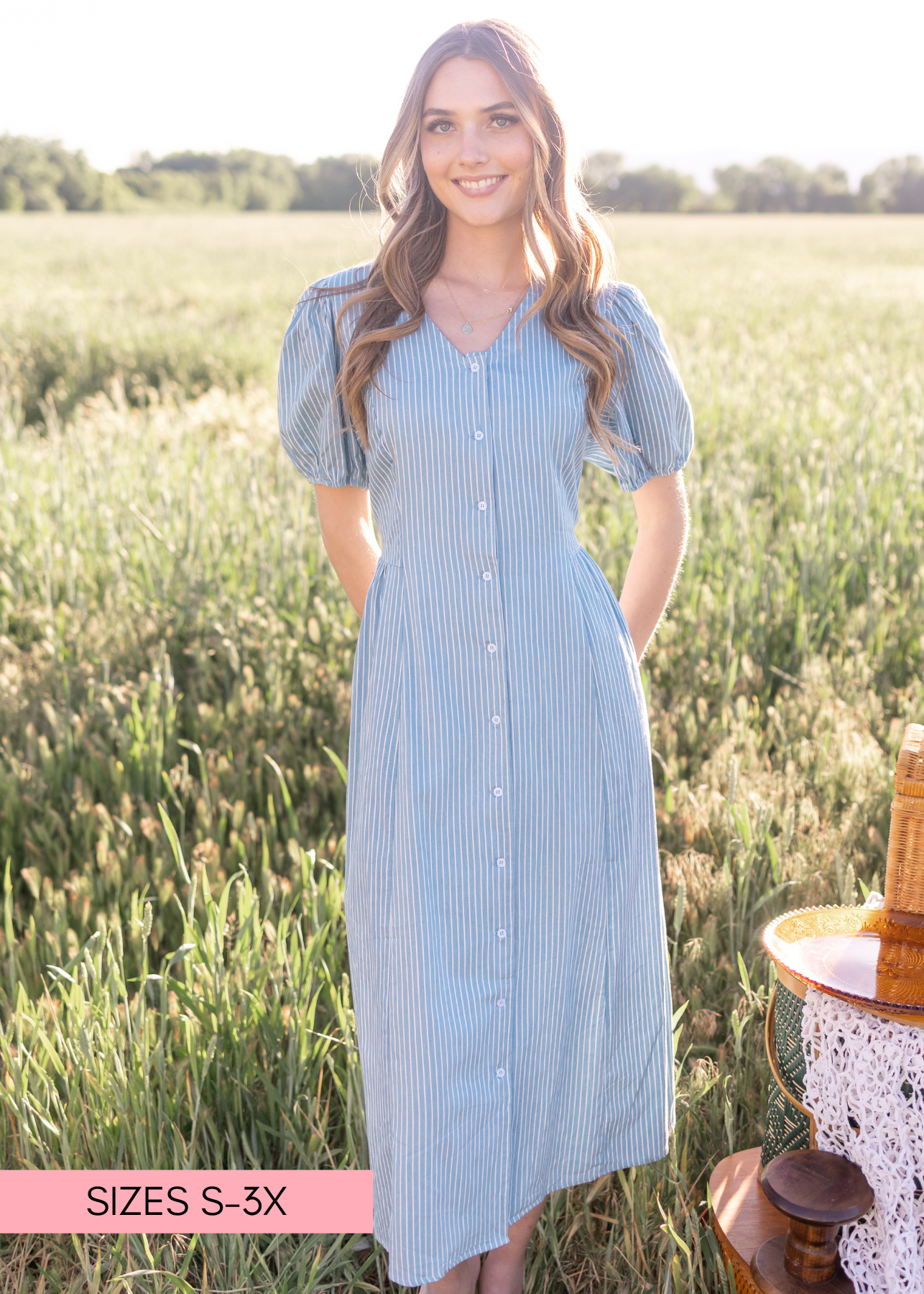 Taylor Denim Pinstripe Dress
