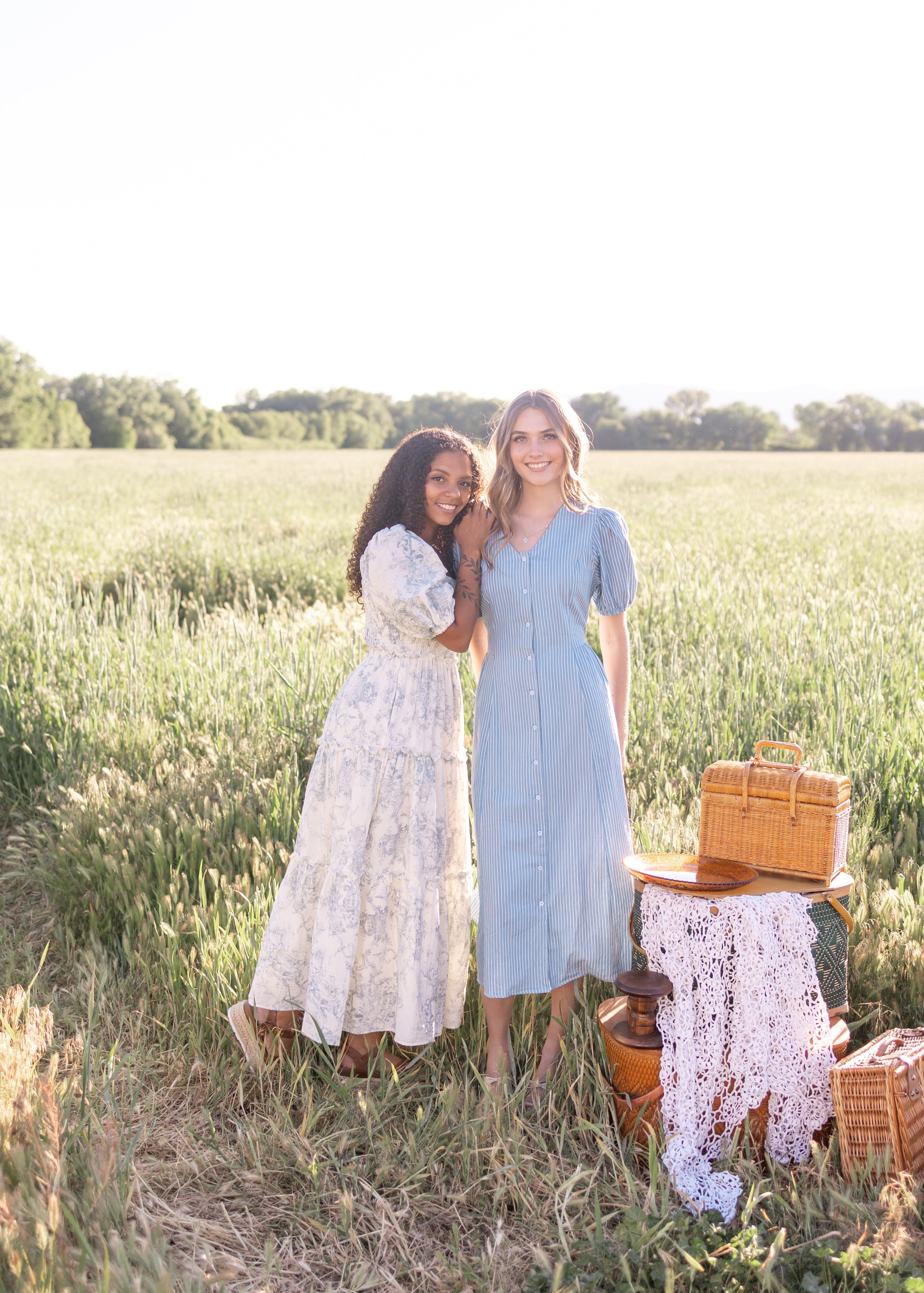 Taylor Denim Pinstripe Dress