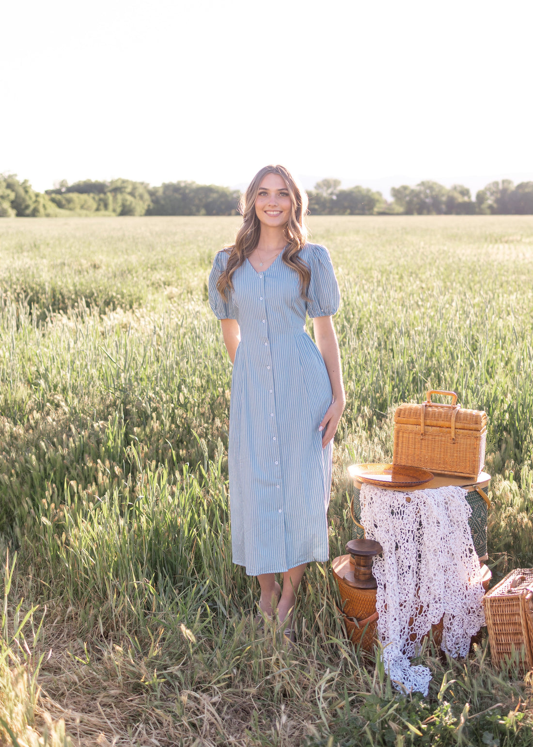 Taylor Denim Pinstripe Dress