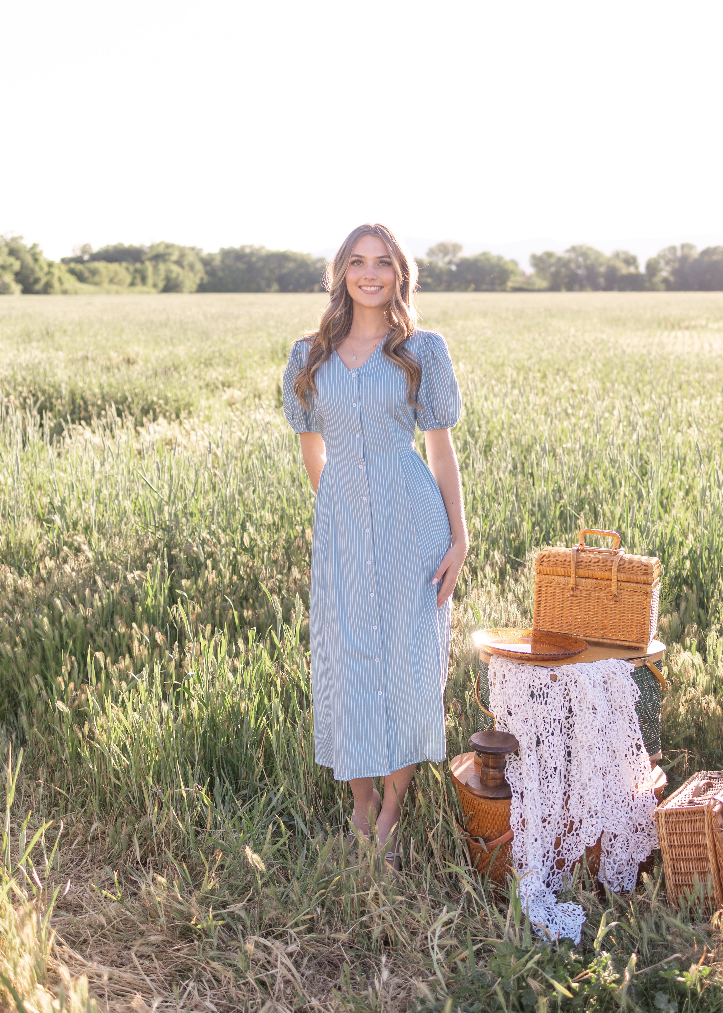 Taylor Denim Pinstripe Dress