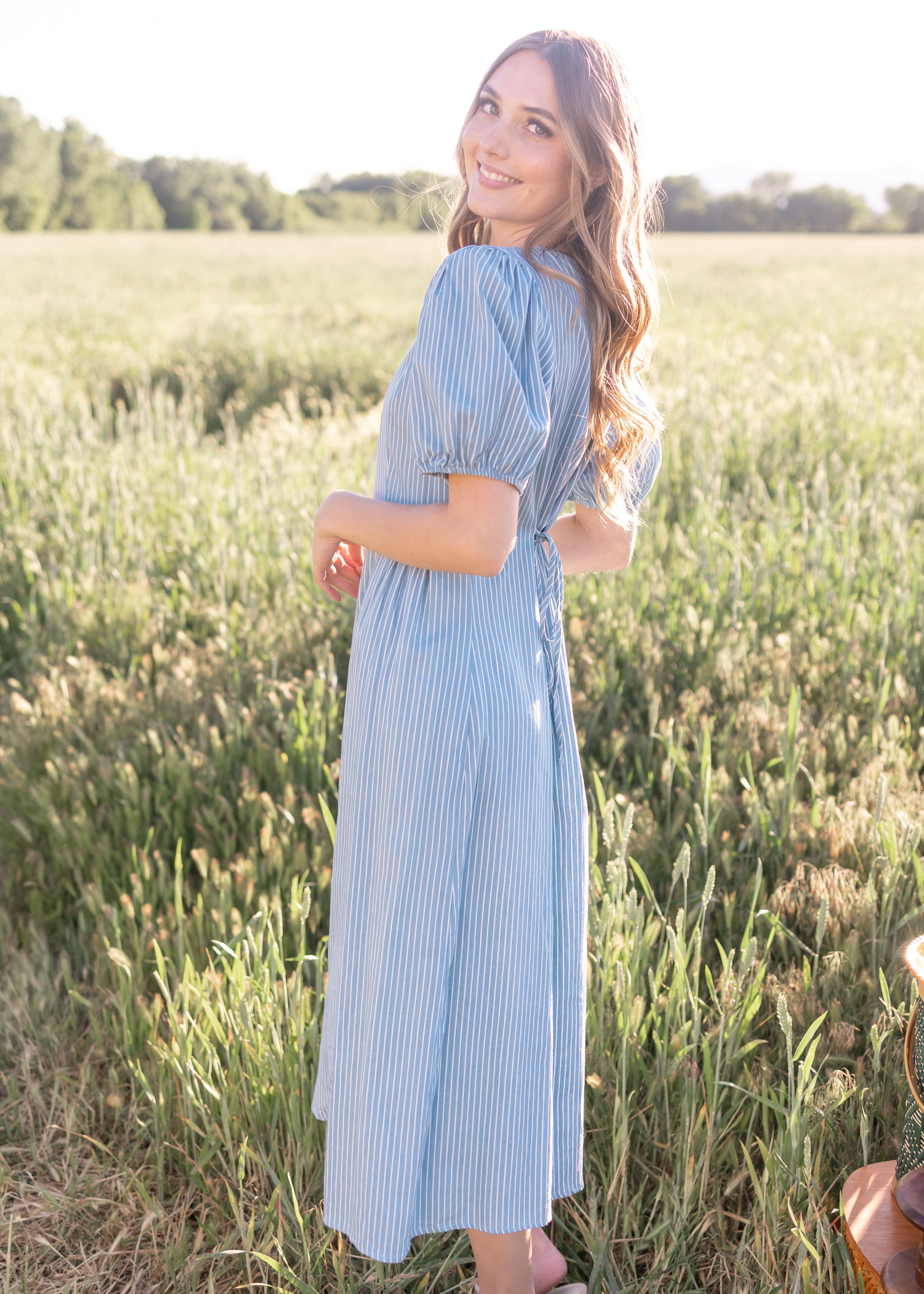 Taylor Denim Pinstripe Dress